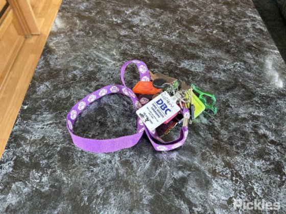 2012年フリースタイル