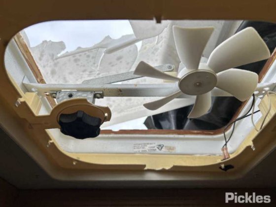 2012年フリースタイル