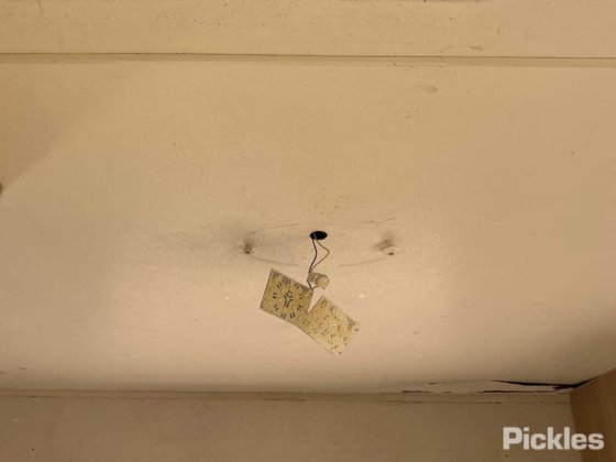 ジェイコ・スタークラフト