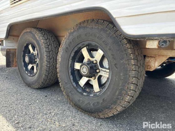 2019 新时代公路猫头鹰