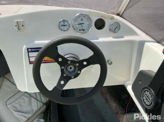 カリブ海のコンドル