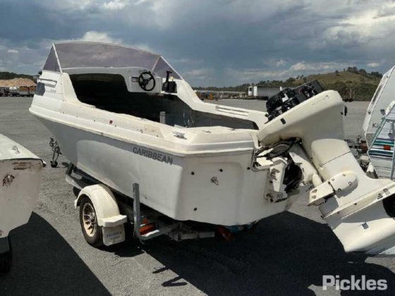 カリブ海のコンドル