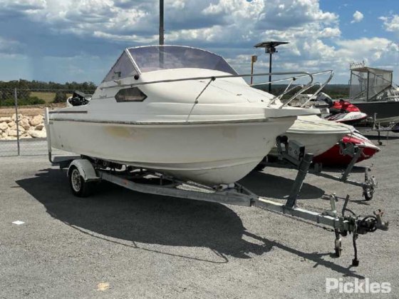 カリブ海のコンドル