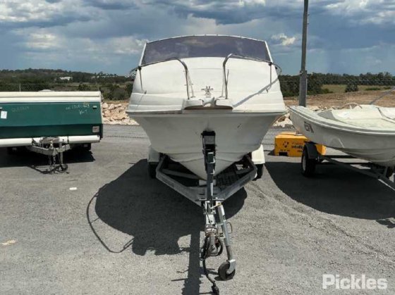 カリブ海のコンドル