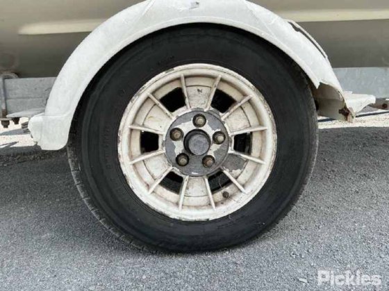 カリブ海のコンドル