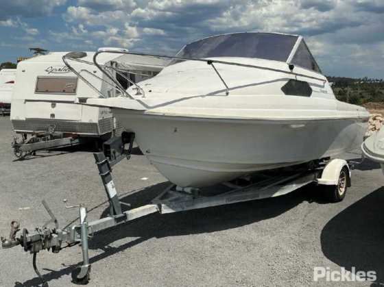 カリブ海のコンドル