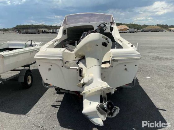 カリブ海のコンドル