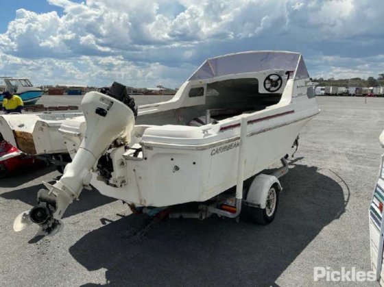 カリブ海のコンドル