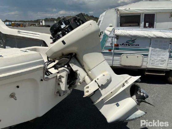 カリブ海のコンドル