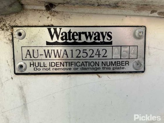 カリブ海のコンドル