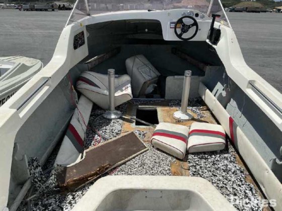 カリブ海のコンドル