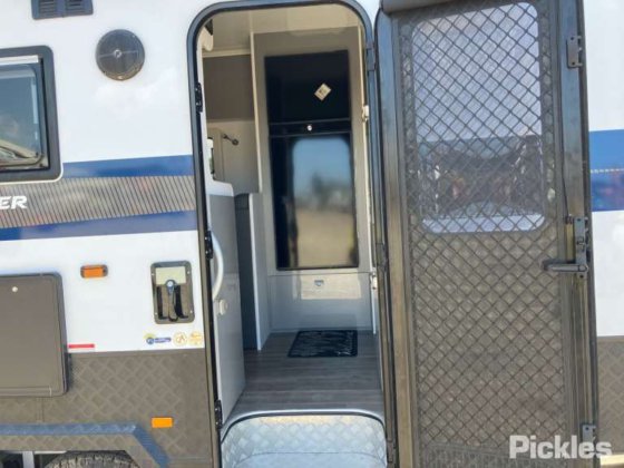 2021 十字军火枪手