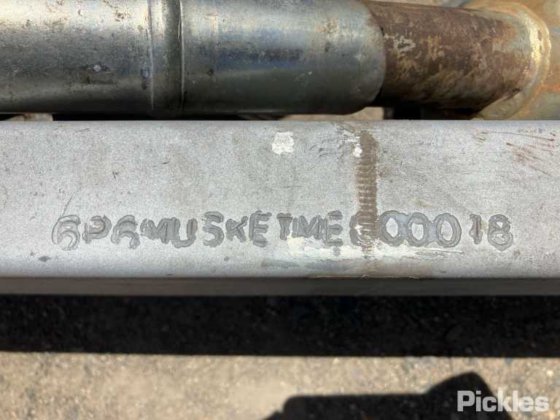 2021 十字军火枪手