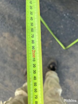 2011レギアルブルガム