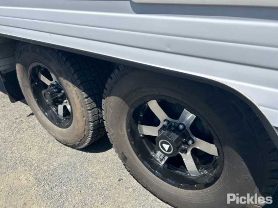 2018 新时代蝠鲼