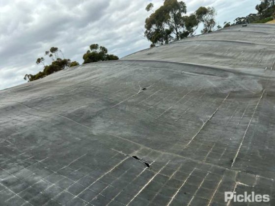 2014年 フレイトライナー コロナド