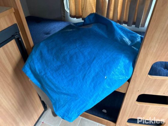 2010年コロマル ライフスタイル