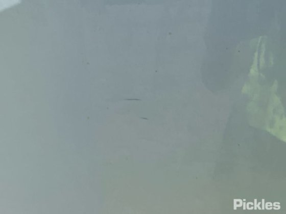 2014款五十铃NPS300