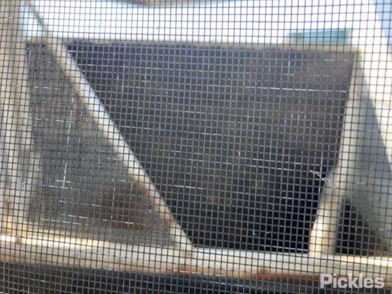 2007 イベコ デイリー