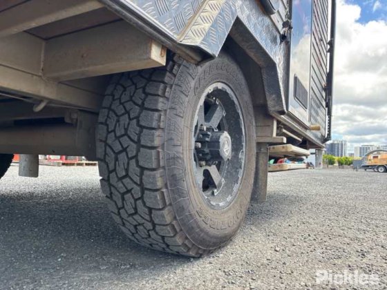 2017新纪元路猫头鹰