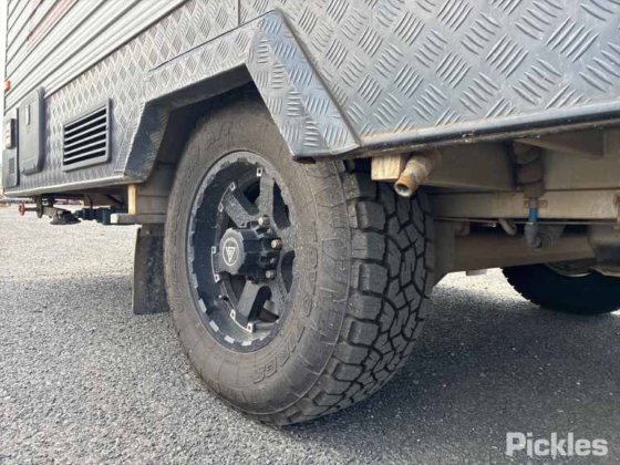 2017新纪元路猫头鹰