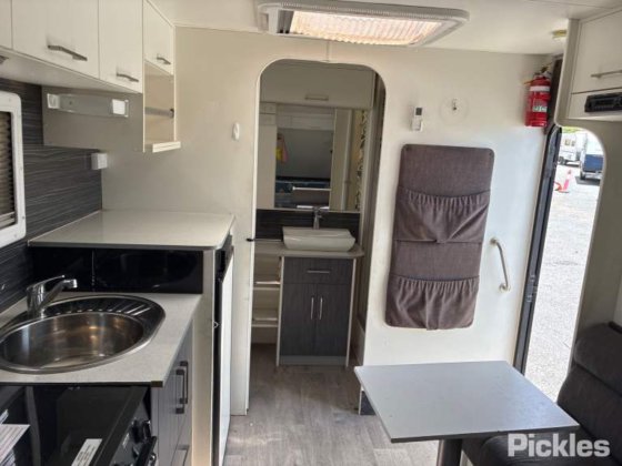 2017新纪元路猫头鹰