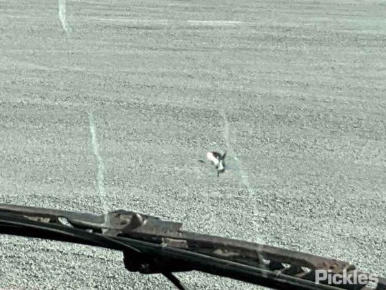 2016 マック トライデント