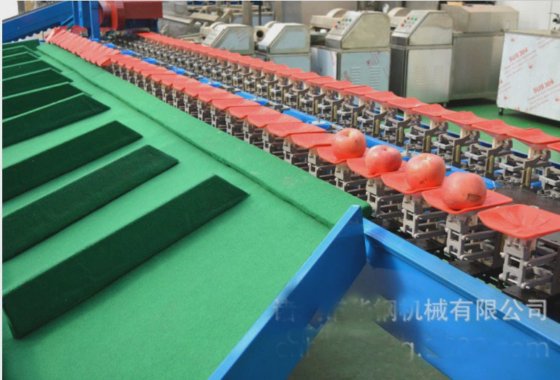 Vegetable Fruit Weight Sorter Machine,