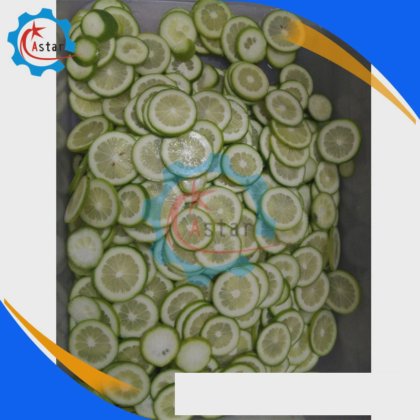Lemon Chopper machine Slice Machine