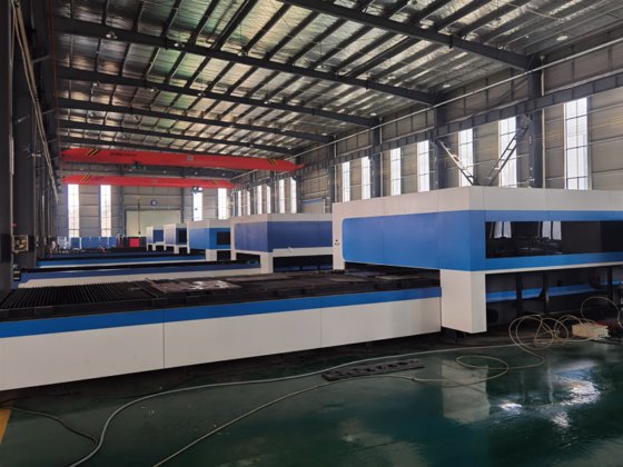 交換のテーブルが付いている金属のためのエンクロージャのフル カバー薄板金 CNC 繊維レーザーの打抜き機