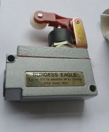BURGESS E1M9CTQMSA 滚轮杠杆微动开关 (BR6.6B24)