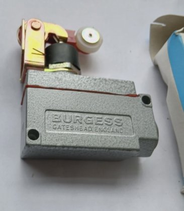 BURGESS E1M9CTQMSA 滚轮杠杆微动开关 (BR6.6B24)