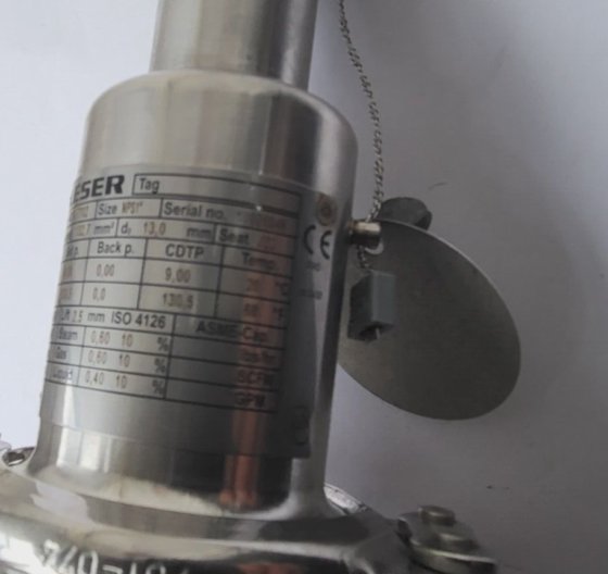 莱泽 4834.7702 安全压力阀（U3.3B3）