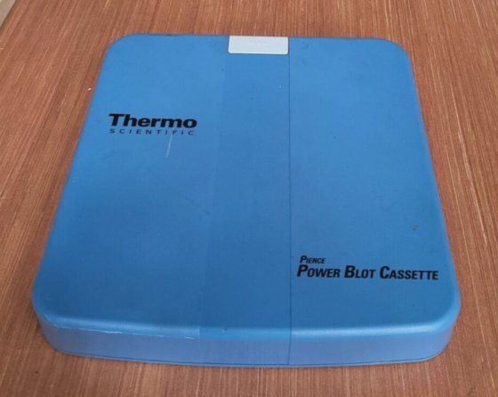サーモフィッシャー・ピアース・パワーブロット・カセット（r6s8.2）