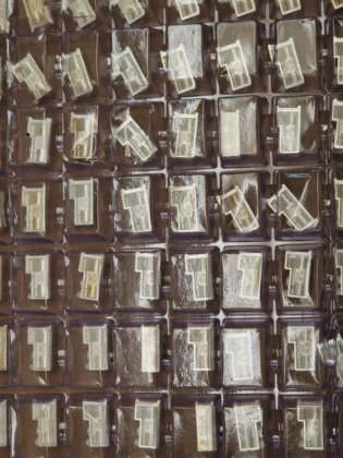 TE コネクティビティ 高速/モジュラーコネクタ 1-1469492-2 70個ロット