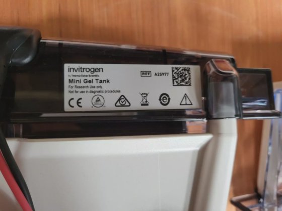 TERMO FISHER A25977 INVITrogen 迷你凝胶罐（RS4.4）
