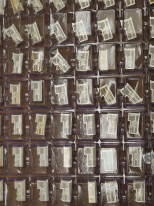 TE Connectivity 高速/模块连接器 1-1469492-2 每批