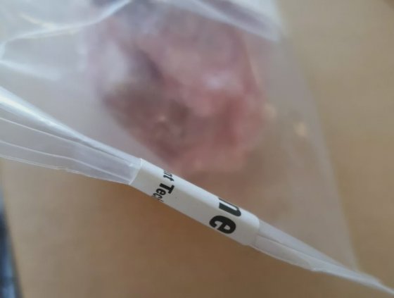 全新密封 WatersAgilent 2695 V4 电磁阀（部件号：WAT078800A）