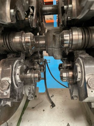 ラニコーベア 6-341