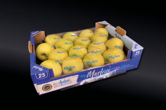 Frutmac Rollex 2000+