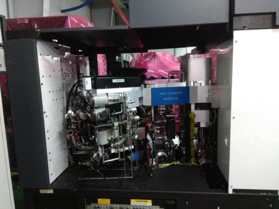 1995年アマットP5000