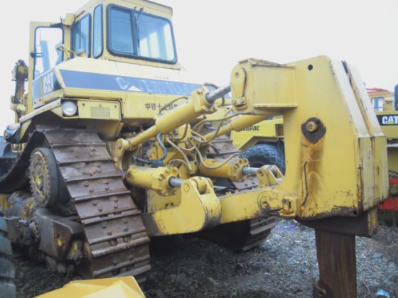 Gebrauchter Kater D9n