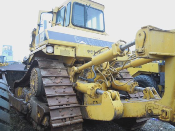 Gebrauchter Kater D9n