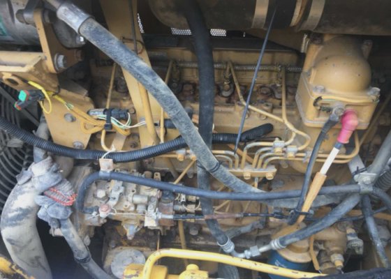 カテゴリ D5G LGP