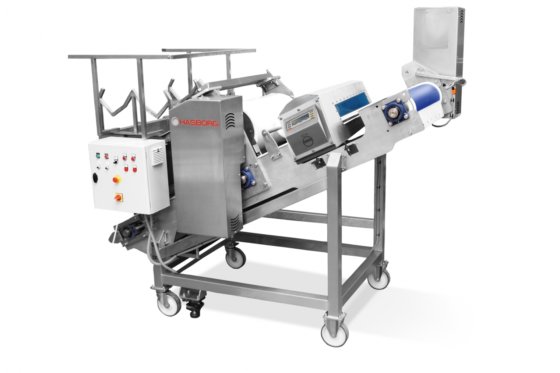 Hasborg Vor-Formanlage