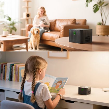 Airwoods 1.2亿/立方厘米离子发生器，适用于迷你车载和家用空气净化器