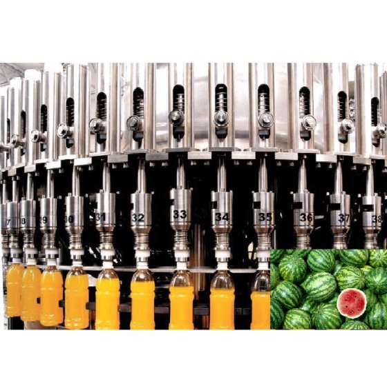 Fruit Juice Production Equipment/Automatic Fruit Juice Plant in Shanghai, China