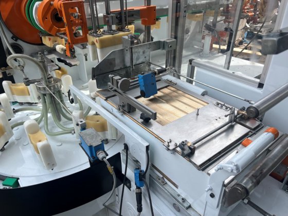 Rasch Sonderfigur Foiler