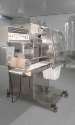 Rheon Verkrustungslinie