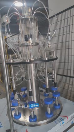 Cosmati Automático 10 Cabeças Flor